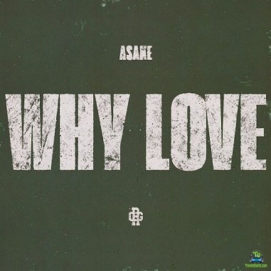 Asake Why Love Artwork